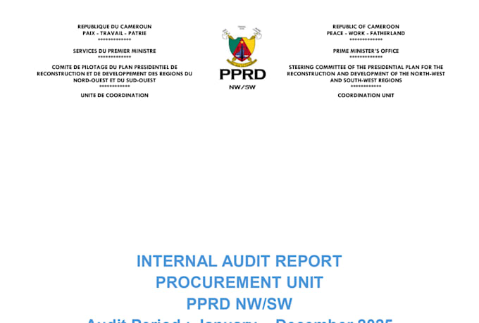 conduct compliance internal audit and risk assessment